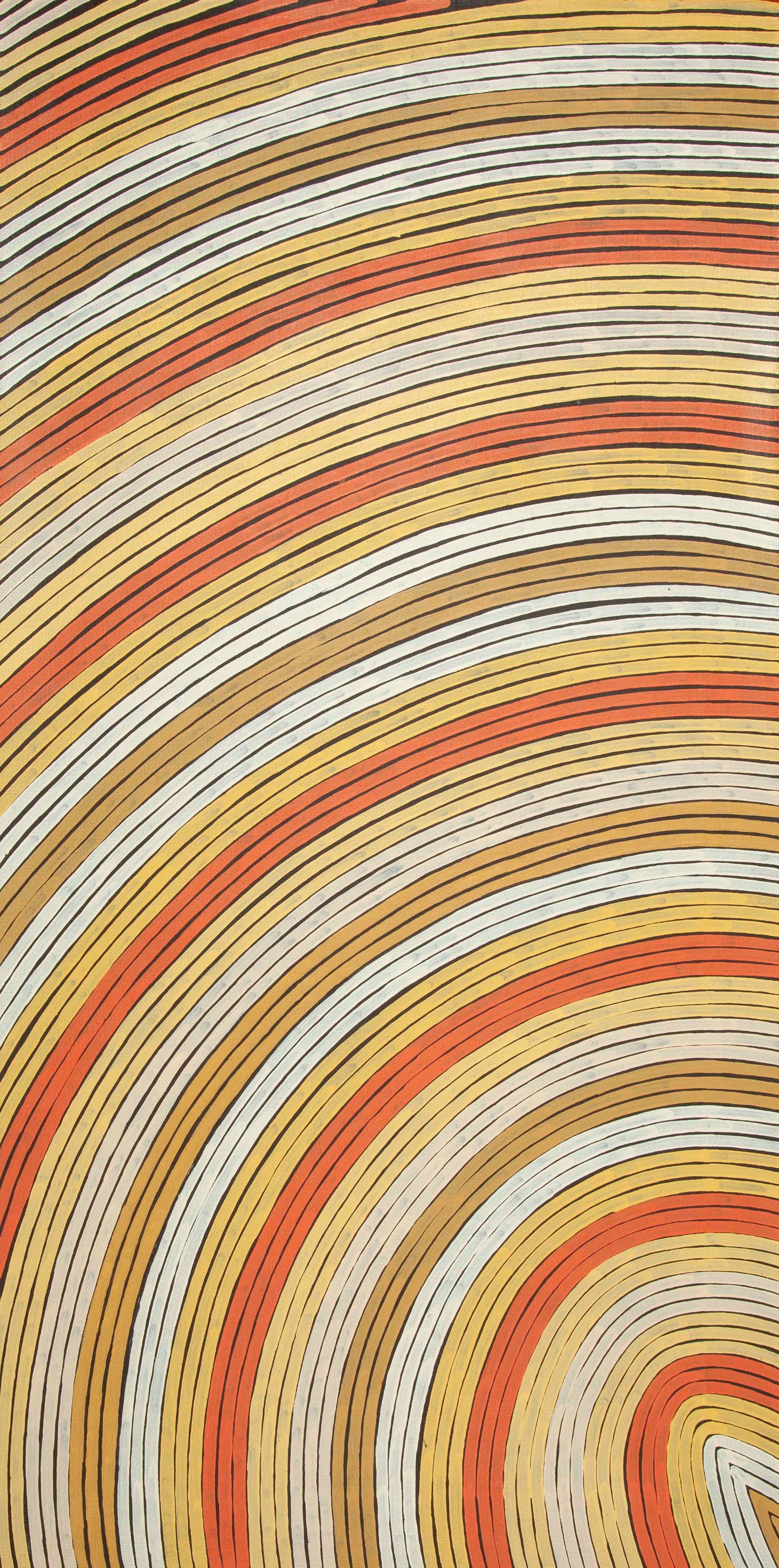 Adam Gibbs Tjapaltjarri 2204149