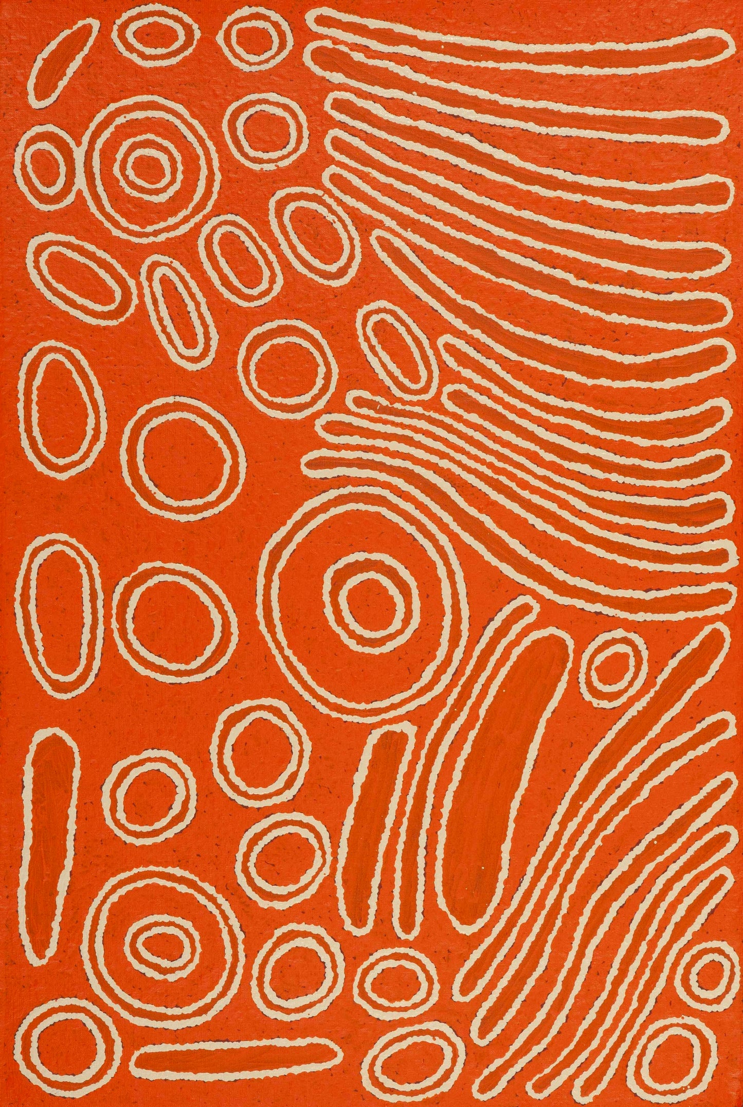 Aileen Napurrula 2505129