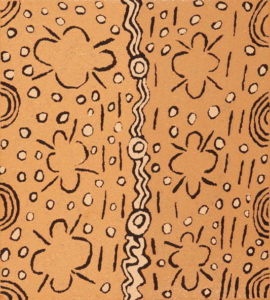 Nanupa Nangala 2510082