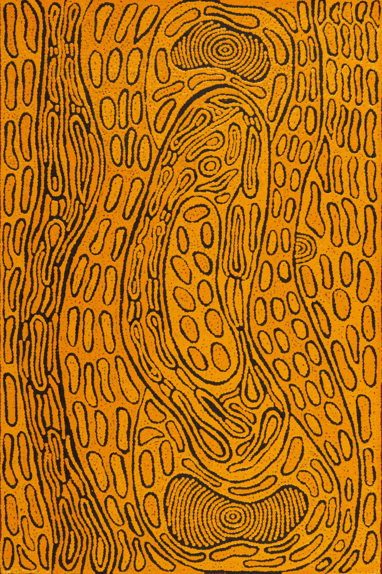 Melissa Larry Nungurrayi 2509015