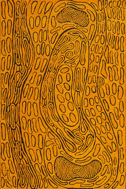 Melissa Larry Nungurrayi 2509015