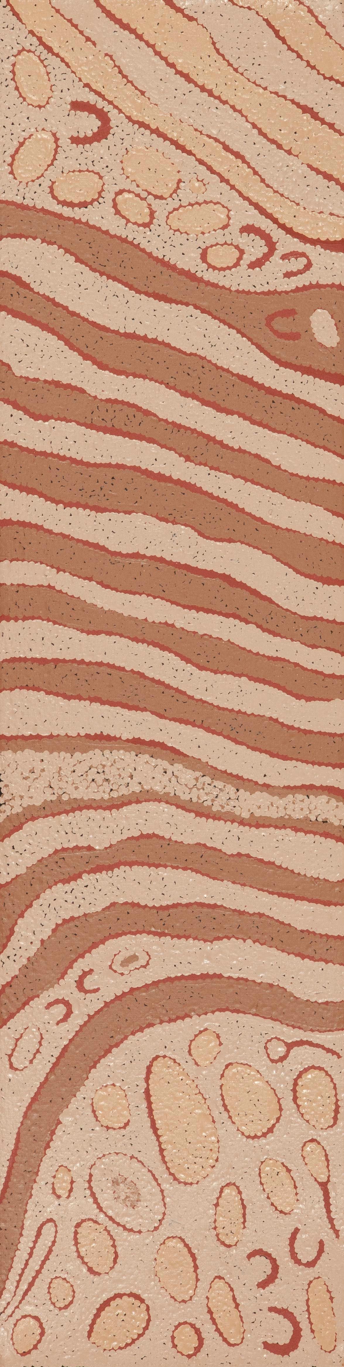 Alison Nungurrayi 2510052