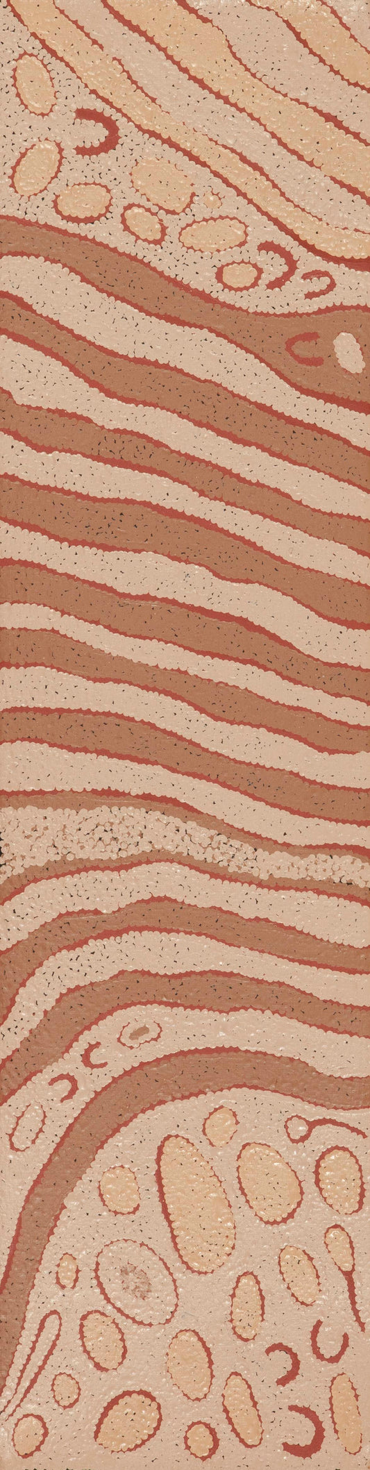 Alison Nungurrayi 2510052