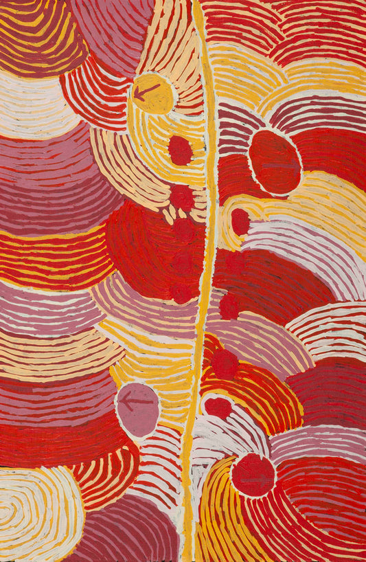 Winnie Nakamarra 2506125