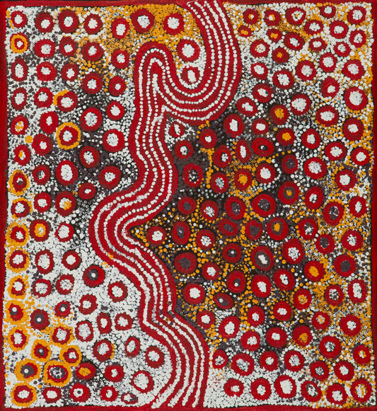 Rosie Nampitjinpa 2508015