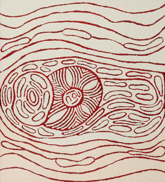 Melissa Nungurrayi 2511009