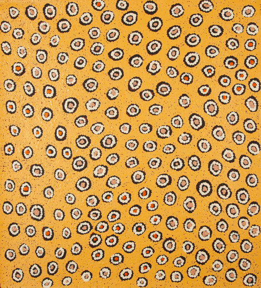 Susan Gibson Napaltjarri  2511066