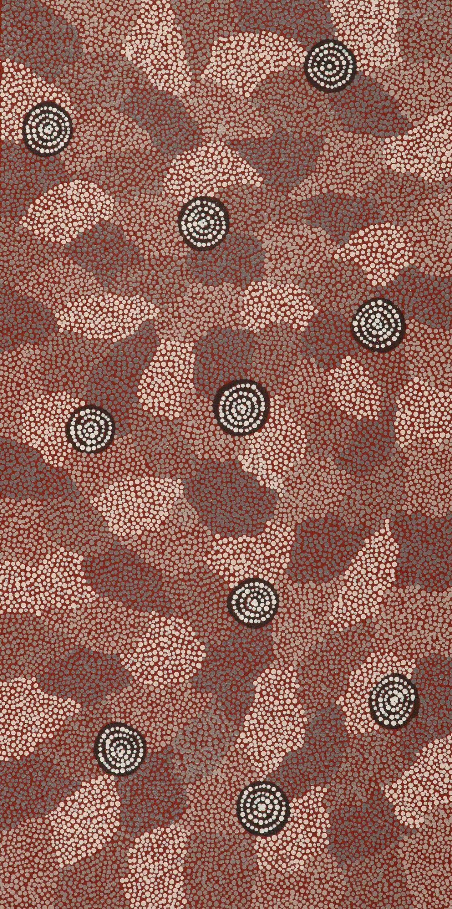 Joseph West Tjupurrula 2408245